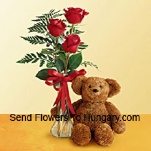 3 Red Roses with 12 Inch Teddy