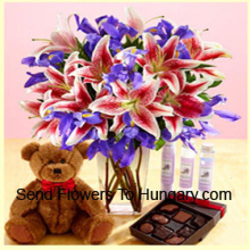 Madeliefjes en Assortiment Bloemen met Teddy en Chocolade