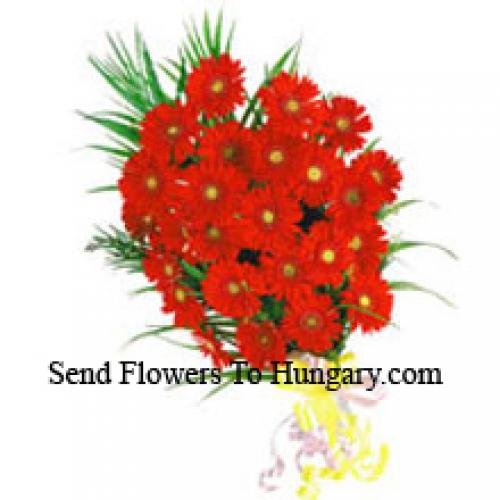 25 Exotic Red Gerberas