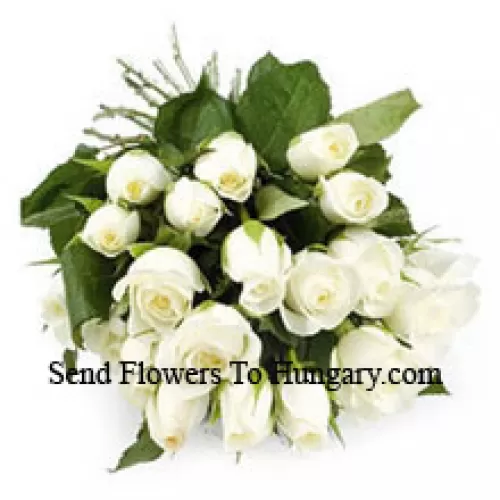 Conjunto de 24 Rosas Brancas