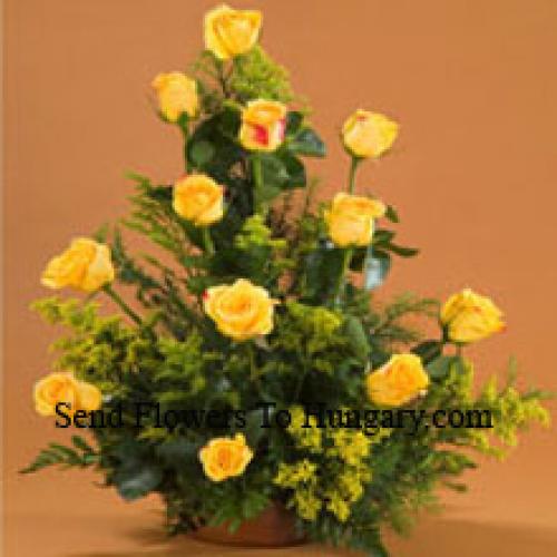 11 Charming Yellow Roses