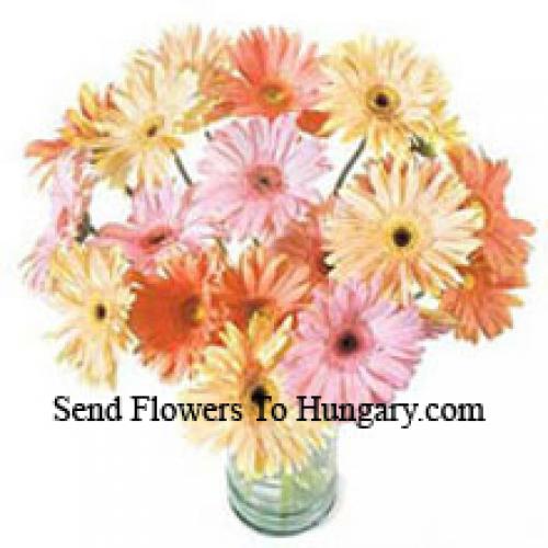 25 Fancy Assorted Gerberas