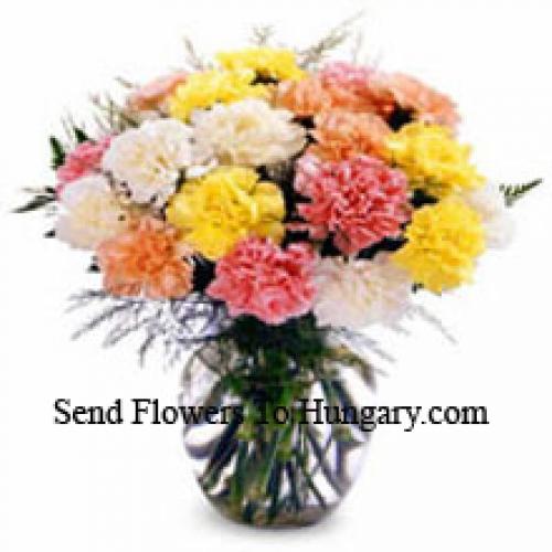 11 Elegant Mixed Carnations