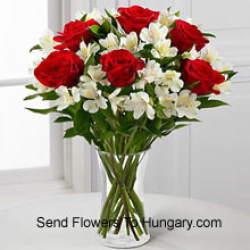 Elegant 7 Red Roses 