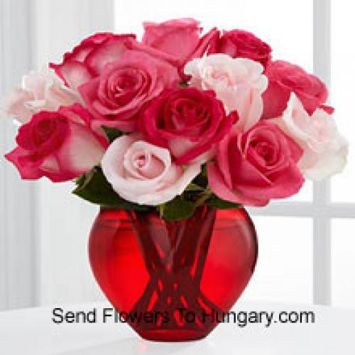 11 Dark and Light Pink Roses