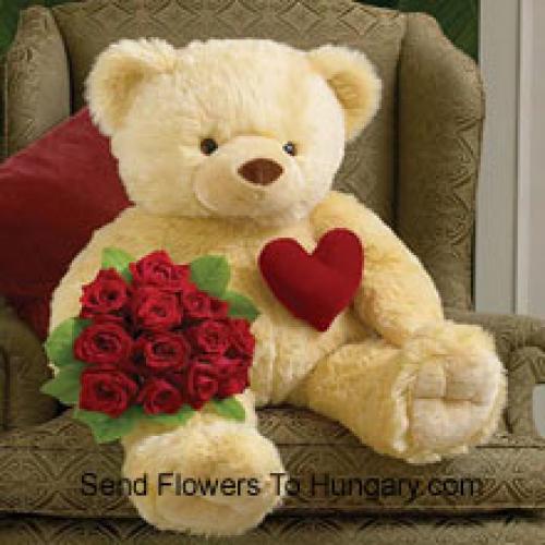 11 Rode Rozen met Knuffel 32 Inch Teddy